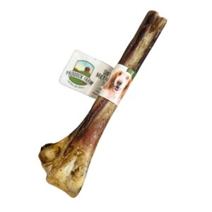 Ostrich Metatarsus Bone (Nova Chews)