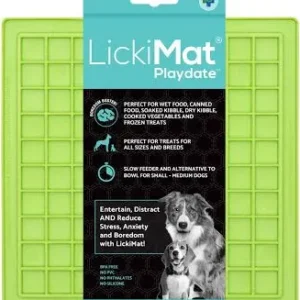 LickiMat Playdate- Green